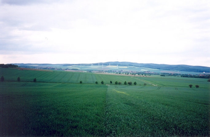 General view of the confluence (towards N)