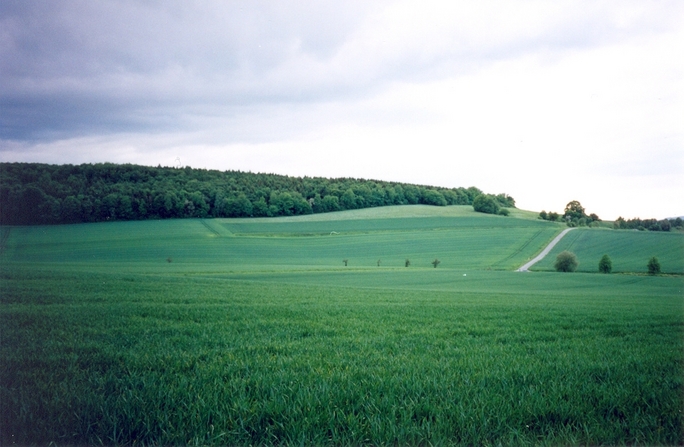 View towards W from the confluence