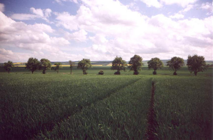 view to the South and the small Huy Mountains