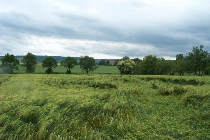 View from the confluence / Aussicht vom Confluence Punkt