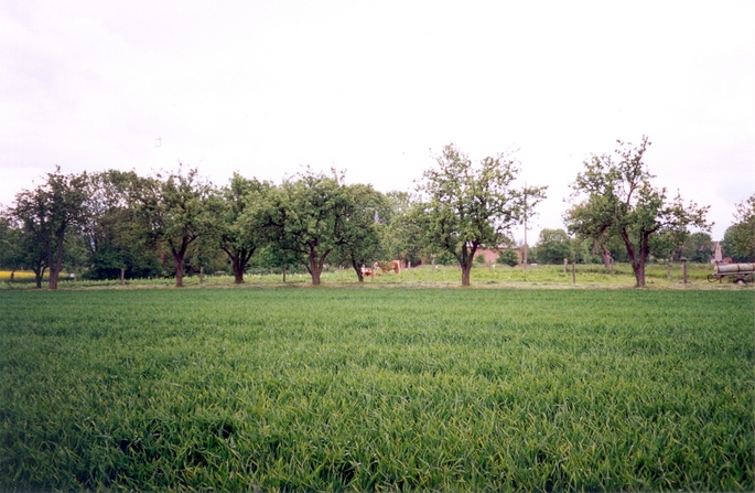 General view of the confluence (towards W and the village of Eilsdorf)