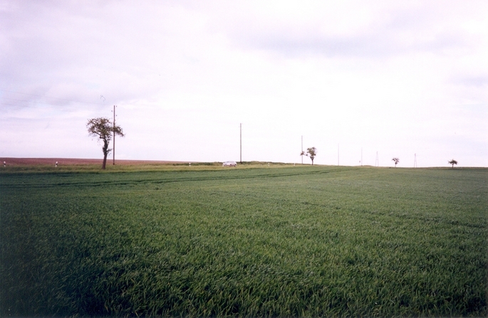 View towards N from the confluence