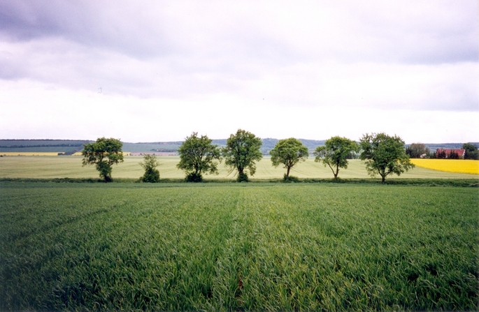 View towards S from the confluence (in the backgroud the Huy hills)