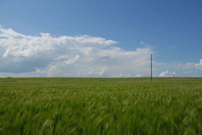 View north / Blick nach Norden