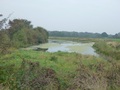 #8: Lagoon close to confluence