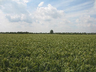 #3: Süden; view south