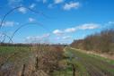 #5: The way to the confluence point / Der Weg zum Confluence Punkt