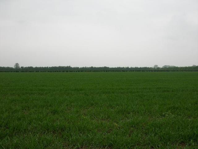 View north / Blick nach Norden