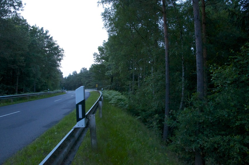 View North (along the road)