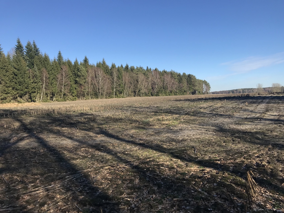 View of surrounding countryside, 200 meters to the northeast of the confluence, looking east-northeast.