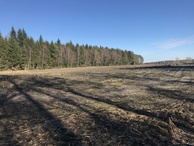 #9: View of surrounding countryside, 200 meters to the northeast of the confluence, looking east-northeast.