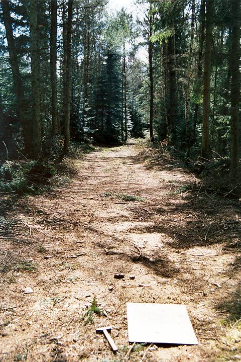 CP, view S along forest path, sign and hammer