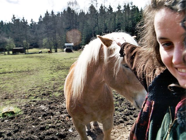 Horse and Gudi on horse farm, 100m far from CP