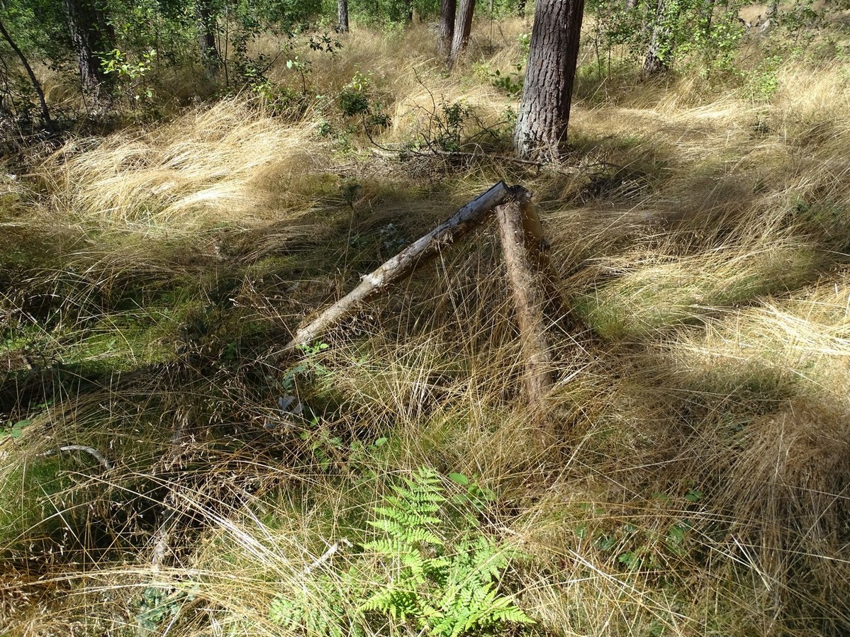 Wooden Monument