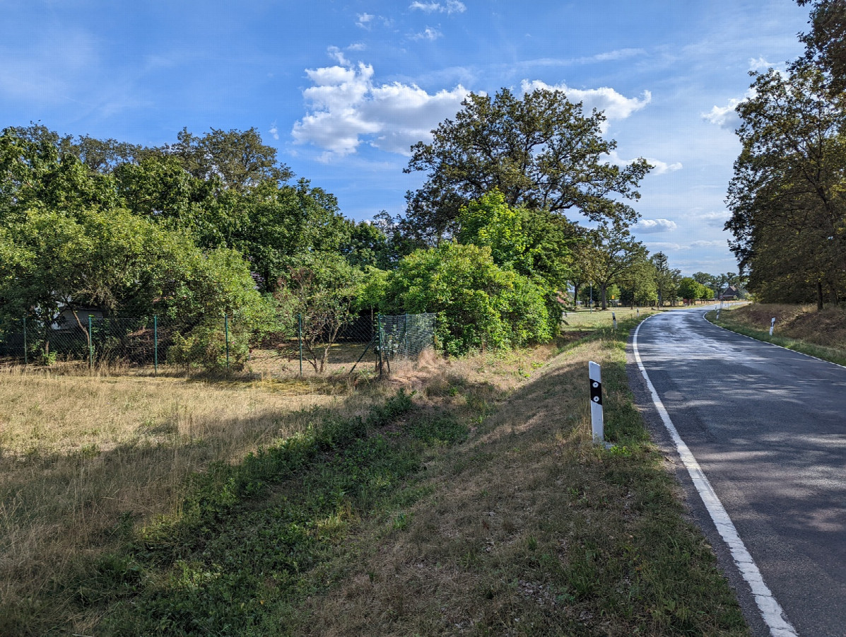 View Looking South