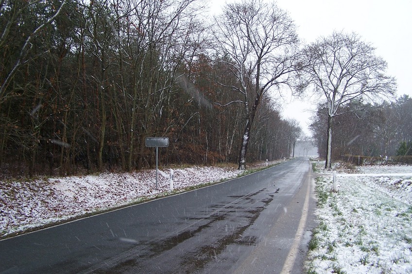 View towards N from the confluence