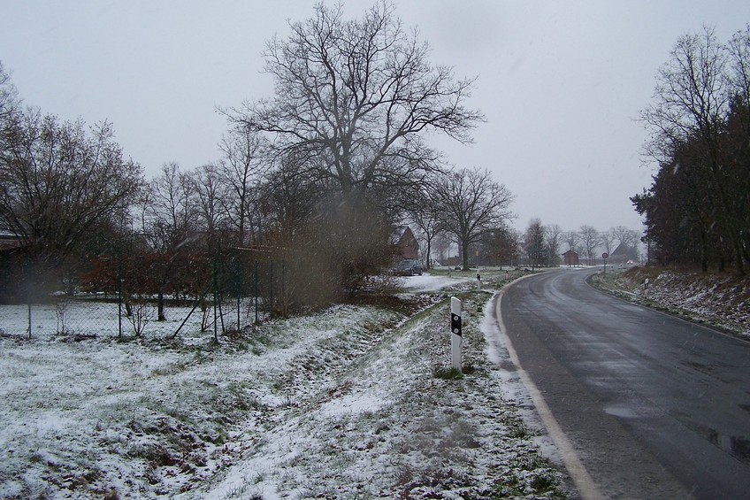 View towards S from the confluence