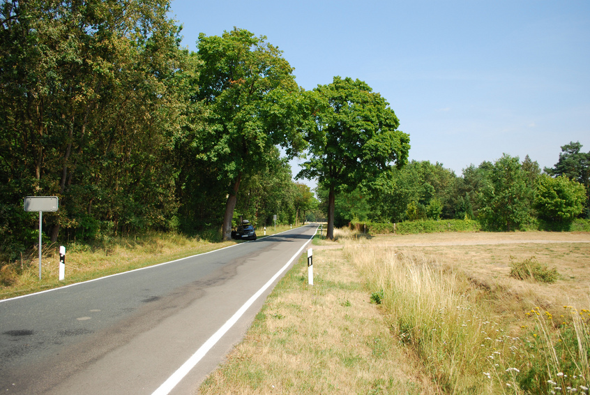 View to north