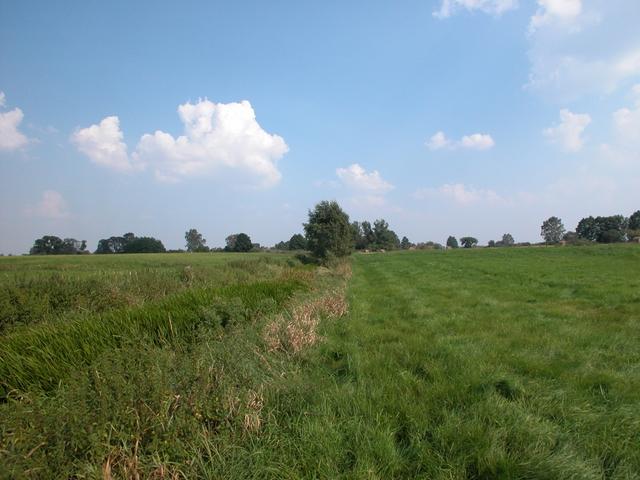 Aussicht vom Confluence Punkt / View from the confluence point