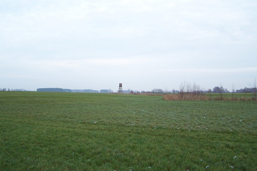 View towards N from the confluence