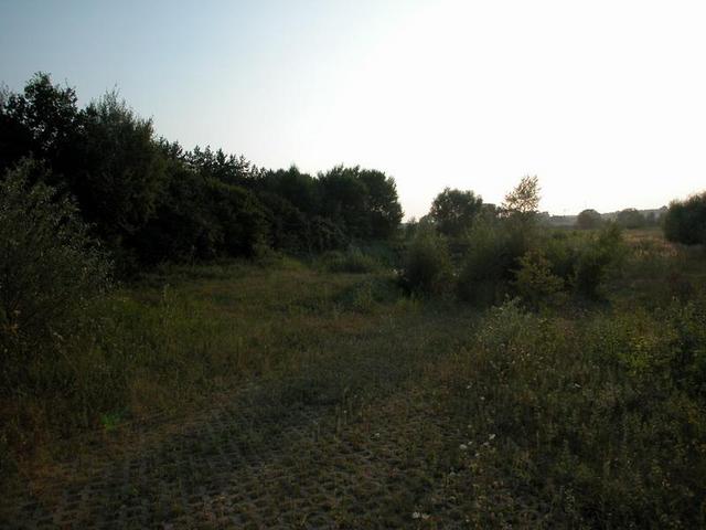 View from the confluence / Blick vom Confluence Punkt