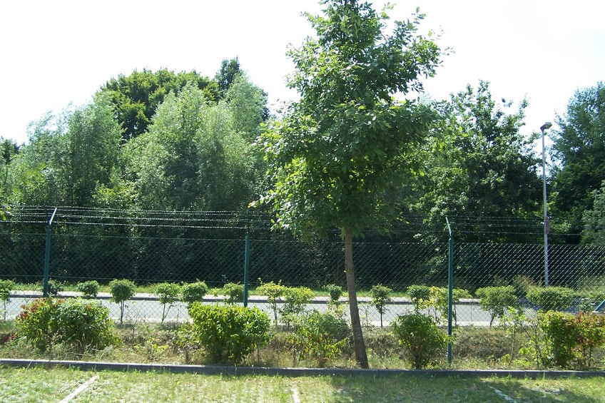 View towards S from the confluence