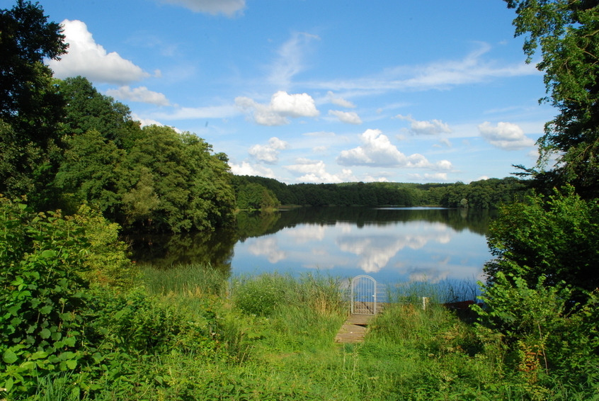 Amtssee at Monastery Chorin