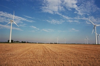 #1: Looking east, 50 m away from 54°N 9°E