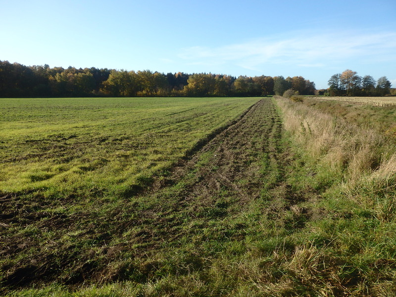 The Confluence from 15 m Distance