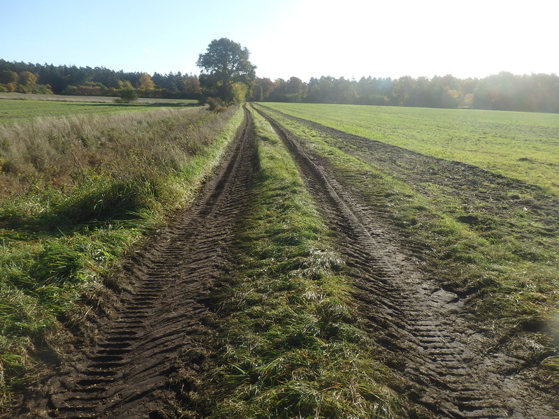 Track at the Confluence