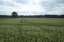 #2: View East (towards the paved road, 300 meters away)