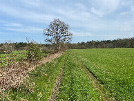 #10: Pathway to and from the road to the confluence site, looking southeast.