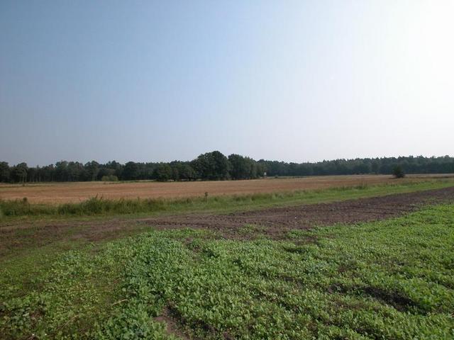 View in eastern direction / Blick in östliche Richtung