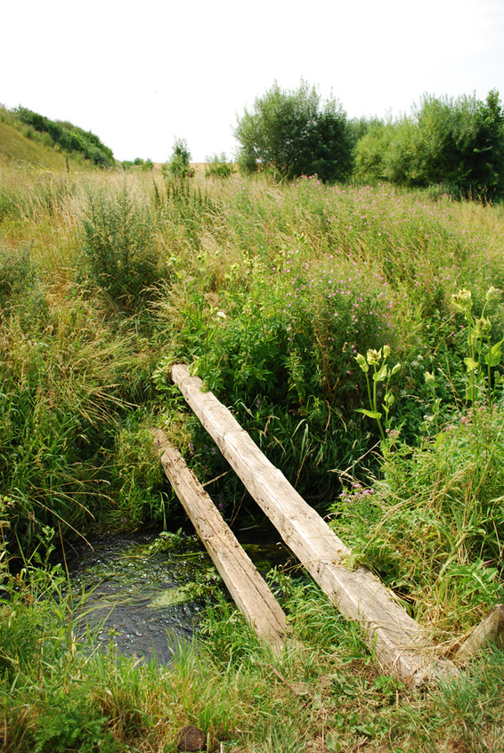 Path over the creek