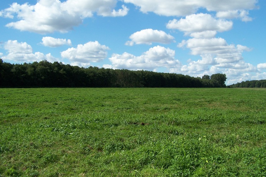 View towards SW from the confluence