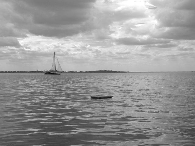 Blick auf die Confluence [View of the Confluence]