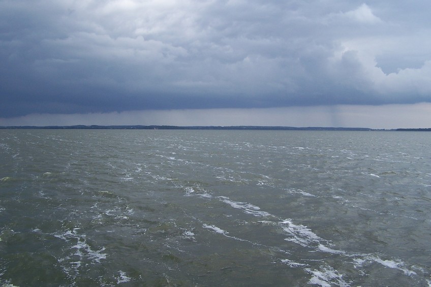 View towards SE from the confluence