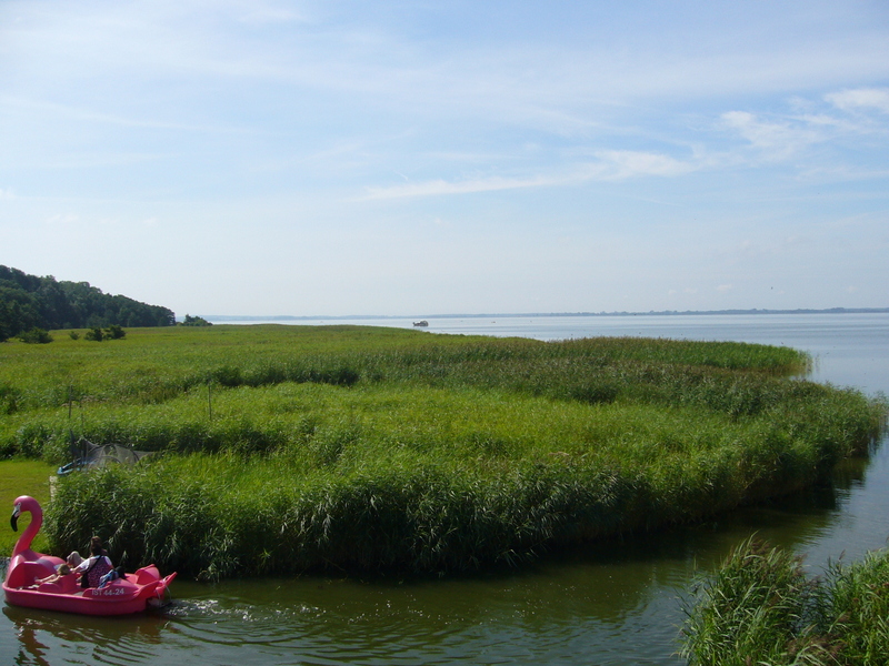 View from Loddin towards the Confluence Point  