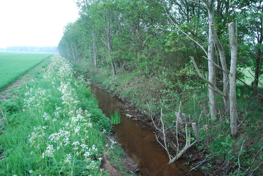 Crossing the water ditch