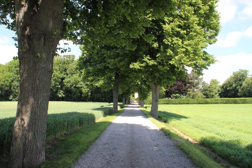 CP 55N 12E, looking north