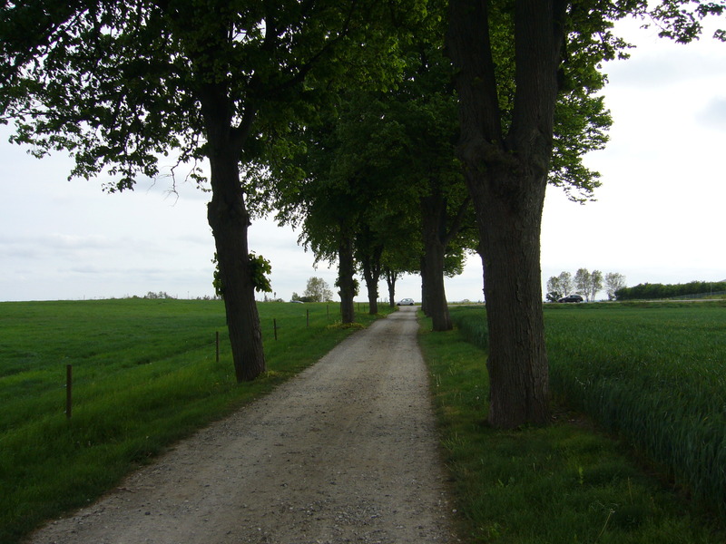 View south towards the highway