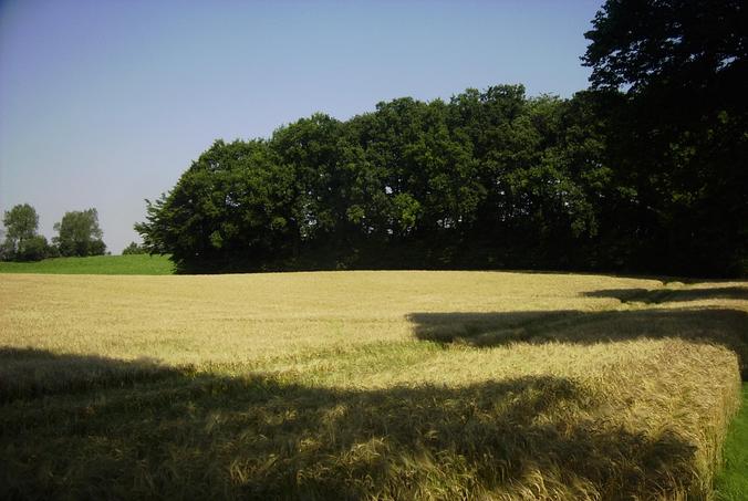 Blick nach Norden / View north