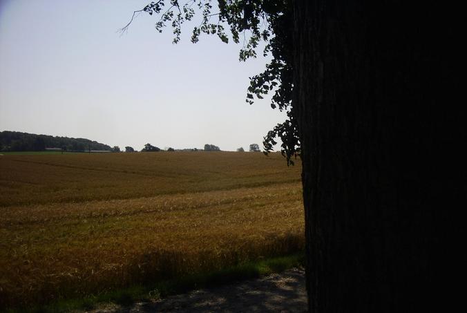 Blick nach Süden / View south