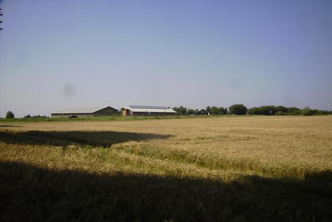 Blick nach Westen / View west