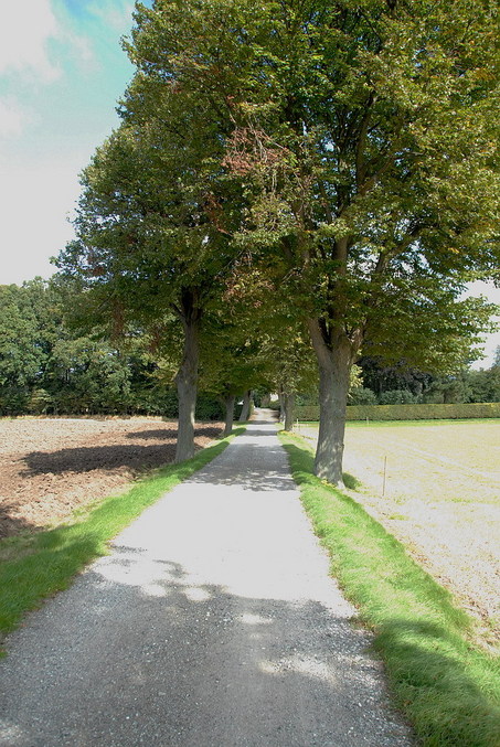 View to the point / Blick zum Confluence Punkt