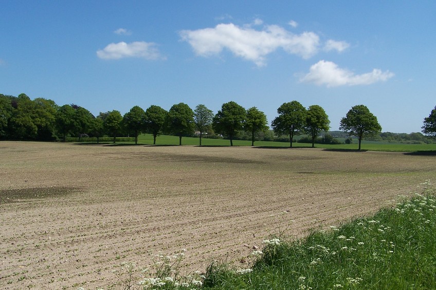 General view of the confluence (towards NE, ca. 200 m away)