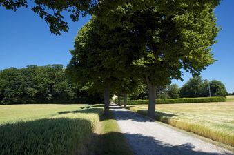 #1: View North (along the driveway, towards the home)