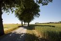 #3: View South (along the driveway, back towards the road)