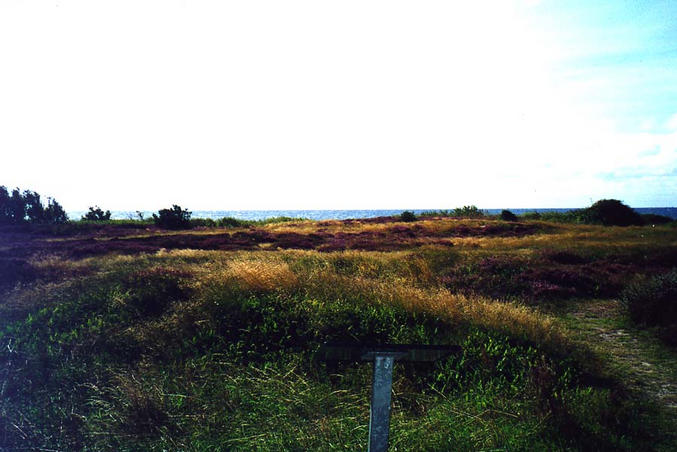 Looking south to the Baltic Sea