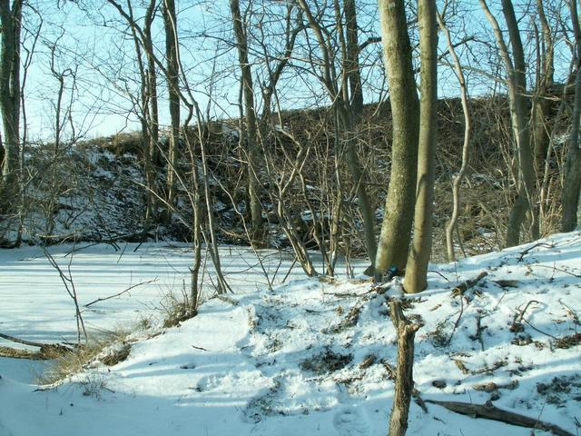 The area around the confluence.